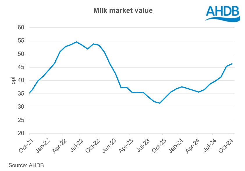 MMV graph October 24